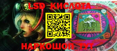 гашик Камышлов